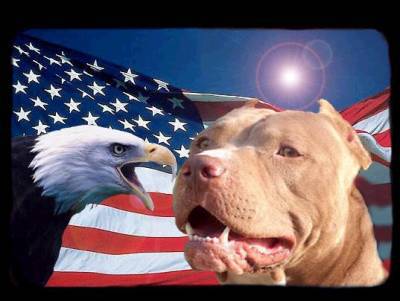 Bit  american